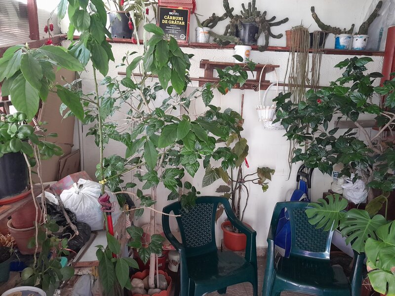 Vatra Luminoasa - Agricultori